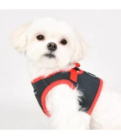 Puppia Puppia Soft Vest Harness II Model B Grey -Hondenmode puppia soft vest harness ii model b grey 5