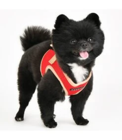 Puppia Puppia Soft Vest Harness II Model B Red -Hondenmode puppia soft vest harness ii model b red 6