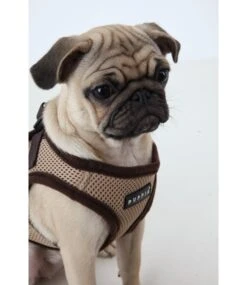 Puppia Puppia Soft Vest Harness Model B Beige 15 Puppia Puppia Soft Vest Harness Model B Beige -Hondenmode puppia soft vest harness model b beige 4
