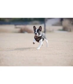 Puppia Puppia Soft Vest Harness Model B Camo -Hondenmode puppia soft vest harness model b camo 4