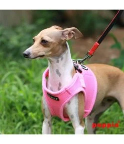 Puppia Puppia Soft Vest Harness Model B Pink -Hondenmode puppia soft vest harness model b pink 3