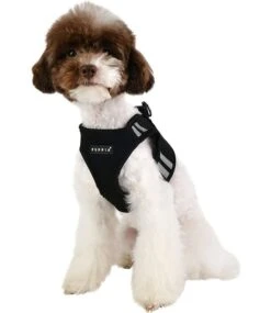 Puppia Puppia Soft Vest Harness PRO Model B Black -Hondenmode puppia soft vest harness pro model b black 6
