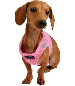 Puppia Puppia Soft Vest Harness PRO Model B Pink 15 Puppia Puppia Soft Vest Harness PRO Model B Pink -Hondenmode puppia soft vest harness pro model b pink 6
