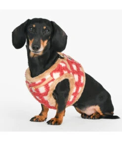 Puppia Puppia Stefan Vest Harness Model B Coral 12 Puppia Puppia Stefan Vest Harness Model B Coral -Hondenmode puppia stefan vest harness model b coral 3