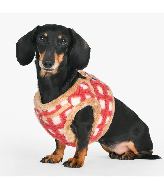 Puppia Puppia Stefan Vest Harness Model B Coral 6 Puppia Puppia Stefan Vest Harness Model B Coral - Afbeelding 4