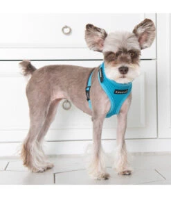 Puppia Puppia Superior Harness Model A Skyblue -Hondenmode puppia superior harness model a skyblue 2