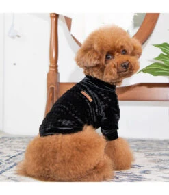 Puppia Puppia T-shirt Kendall Black -Hondenmode puppia t shirt kendall black 2