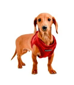 Puppia Puppia Terry Harness Model B Wine -Hondenmode puppia terry harness model b wine 4