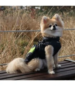 Puppia Puppia Teton Harness Jacket Navy -Hondenmode puppia teton harness jacket navy 5