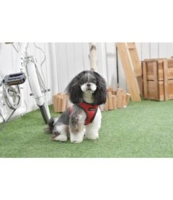 Puppia Puppia Thermal Soft Harness Model B Red 9 Puppia Puppia Thermal Soft Harness Model B Red -Hondenmode puppia thermal soft harness model b red 3