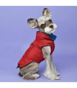 Puppia Puppia Tomas Jacket Harness Wine -Hondenmode puppia tomas jacket harness wine 4
