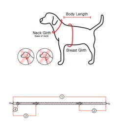 Puppia Puppia Trek Lijn Red -Hondenmode puppia trek lijn red 2