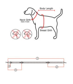 Puppia Puppia Trek Lijn Royal Blue 7 Puppia Puppia Trek Lijn Royal Blue -Hondenmode puppia trek lijn royal blue 2