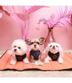 Puppia Puppia Trek Outdoor Mat -Hondenmode puppia trek outdoor mat 7