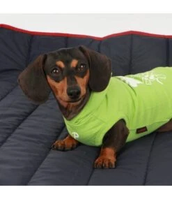 Puppia Puppia Trek Outdoor Mat -Hondenmode puppia trek outdoor mat 8