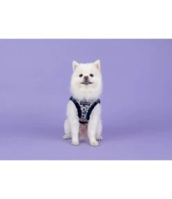Puppia Puppia Vest Harness B Elyse Navy -Hondenmode puppia vest harness b elyse navy 4