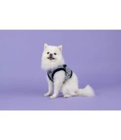Puppia Puppia Vest Harness B Elyse Navy -Hondenmode puppia vest harness b elyse navy 5