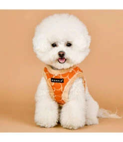 Puppia Puppia Vest Harness B Florent Orange -Hondenmode puppia vest harness b florent orange 2