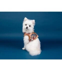 Puppia Puppia Vest Harness B Gianni Beige -Hondenmode puppia vest harness b gianni beige 6