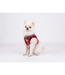 Puppia Puppia Vest Harness B Gianni Wine -Hondenmode puppia vest harness b gianni wine 4
