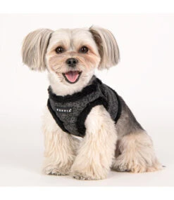 Puppia Puppia Vest Harness B Hepatica Black -Hondenmode puppia vest harness b hepatica black 2