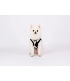 Puppia Puppia Vest Harness B Jaden Black 13 Puppia Puppia Vest Harness B Jaden Black -Hondenmode puppia vest harness b jaden black 3