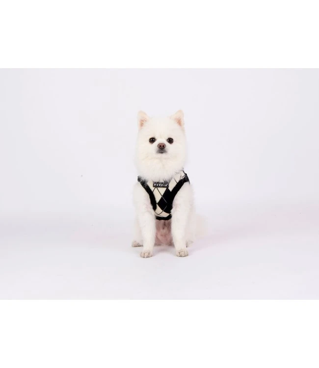 Puppia Puppia Vest Harness B Jaden Black 6 Puppia Puppia Vest Harness B Jaden Black - Afbeelding 4