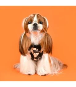 Puppia Puppia Vest Harness B Jaden Black 15 Puppia Puppia Vest Harness B Jaden Black -Hondenmode puppia vest harness b jaden black 5