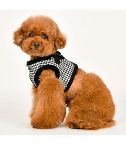 Puppia Puppia Vest Harness B Shepherd Black -Hondenmode puppia vest harness b shepherd black 2