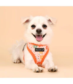Puppia Puppia Vinca Harness Model A Orange -Hondenmode puppia vinca harness model a orange 2