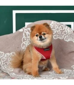 Puppia Puppia Vivien Check Harness Model A Wine -Hondenmode puppia vivien check harness model a wine 2