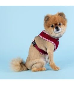 Puppia Puppia Vivien Check Harness Model A Wine -Hondenmode puppia vivien check harness model a wine 3