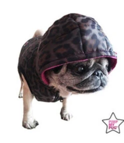 Pimp My Pug Spotted Jacket Met Roze Binnenkant -Hondenmode spotted jacket met roze binnenkant 3