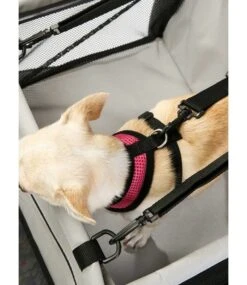 Urban Pup Urban Pup Honden Autostoel -Hondenmode urban pup honden autostoel 2