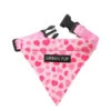 Urban Pup Urban Pup Pink Hearts Bandana -Hondenmode urban pup pink hearts bandana