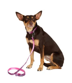 Urban Pup Urban Pup Pink Leopard Print Lead 7 Urban Pup Urban Pup Pink Leopard Print Lead -Hondenmode urban pup pink leopard print lead 2