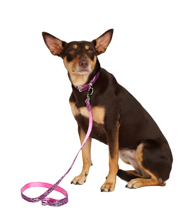 Urban Pup Urban Pup Pink Leopard Print Lead 5 Urban Pup Urban Pup Pink Leopard Print Lead - Afbeelding 3