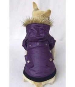 Waxcoat Winterjasje Paars